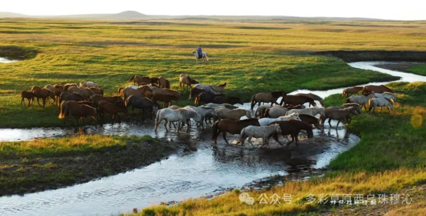 640 (10).jpg 640 (10).jpg